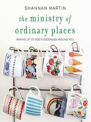 cover image of The Ministry of Ordinary Places